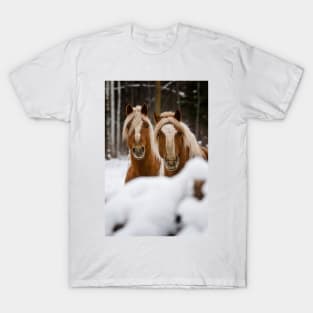 Winter Watchers T-Shirt